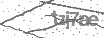 visual captcha